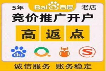 SEM推广优化实战：案例分析与启示
